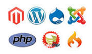 Searching for web development jaipur?
