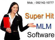 Get Foreign Style MLM Software Panels from 14, 999 only..rajasthan