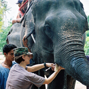 elephant work in india