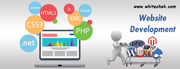 Web Development services Jaipur