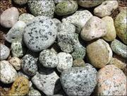 Shree Ganesh Stone | Mint stone in india | Sagar Black sandstone