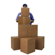 Best Domestic moving services in India