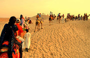 Jaipur Tour and Travels,  Best Tour Packages for Jaipur Rajasthan