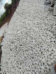 WHITE POLISHED SILICA STONES AND PEBBLES