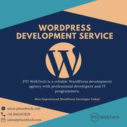 Affordable WordPress Development Agency in Jaipur