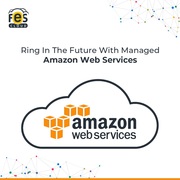 AWS Web Hosting Pricing in India - Fes Cloud