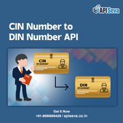 Best Find CIN Number to DIN API Provider 
